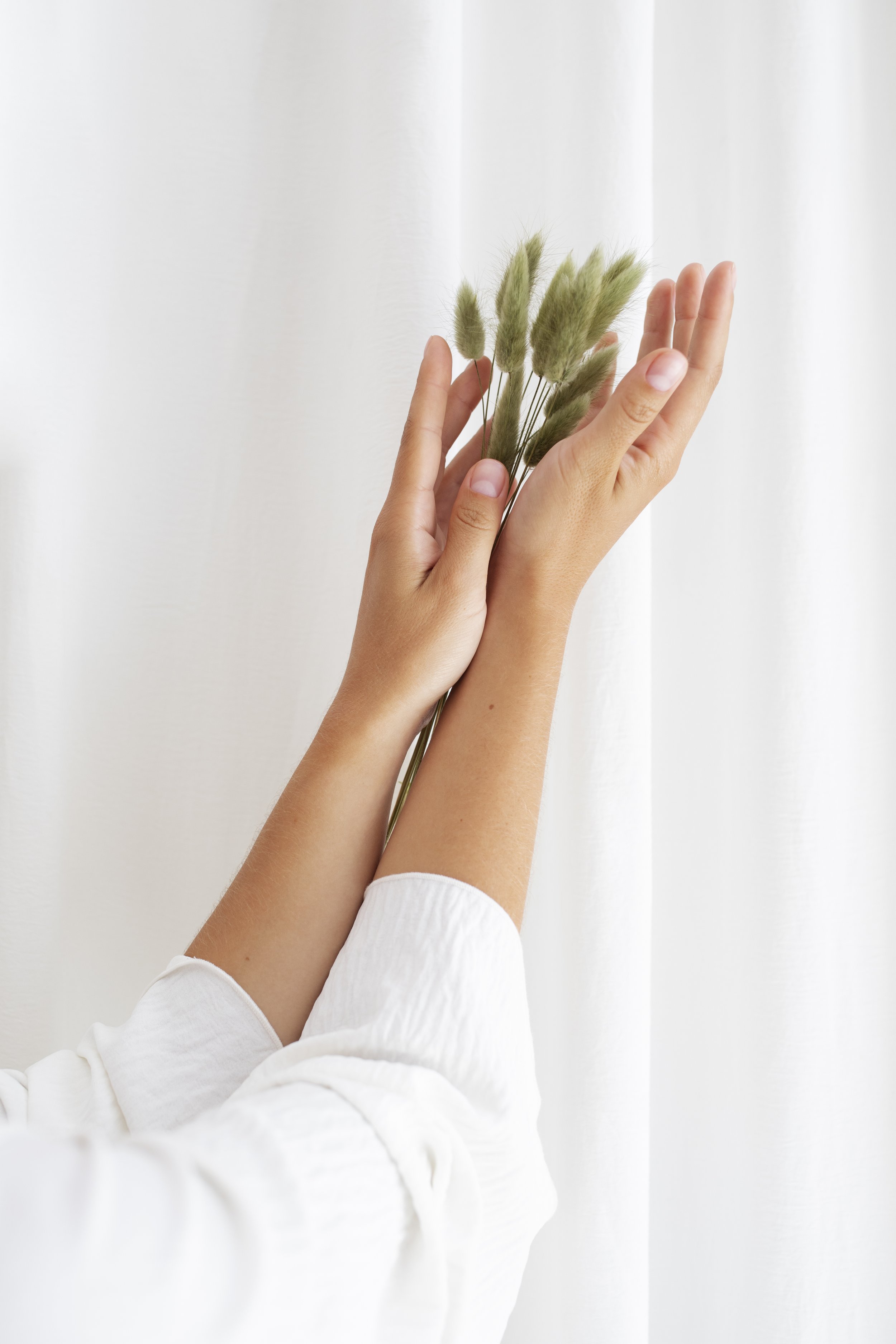 Hands holding plants